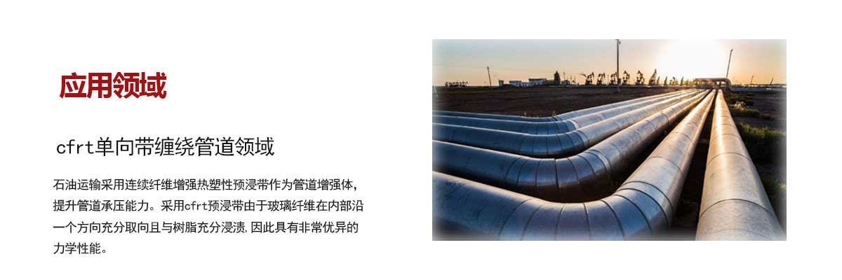 石油管(guǎn)道領域